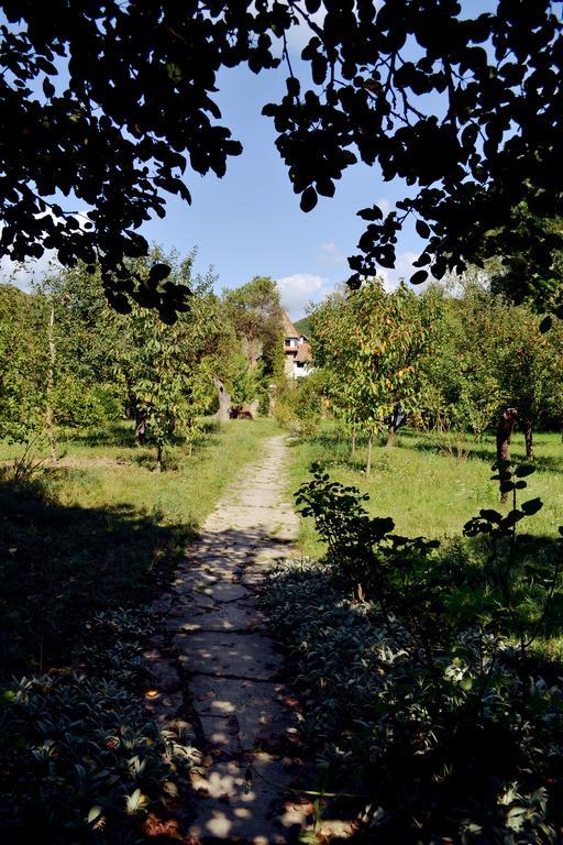Villa Castelul Maria Banpotoc Eksteriør bilde