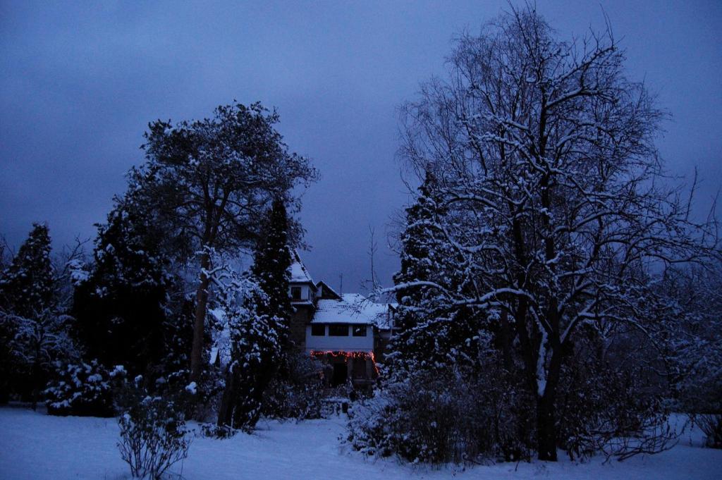 Villa Castelul Maria Banpotoc Eksteriør bilde