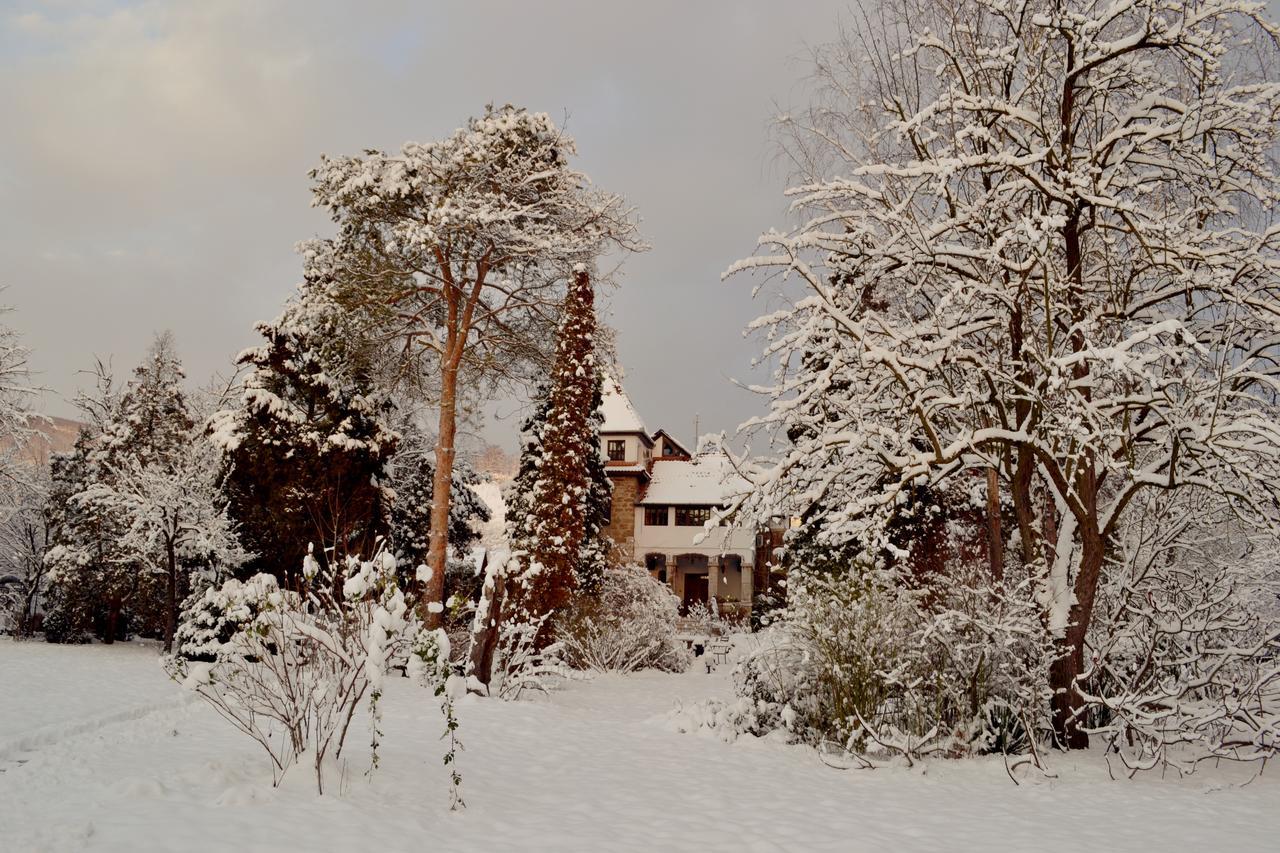 Villa Castelul Maria Banpotoc Eksteriør bilde